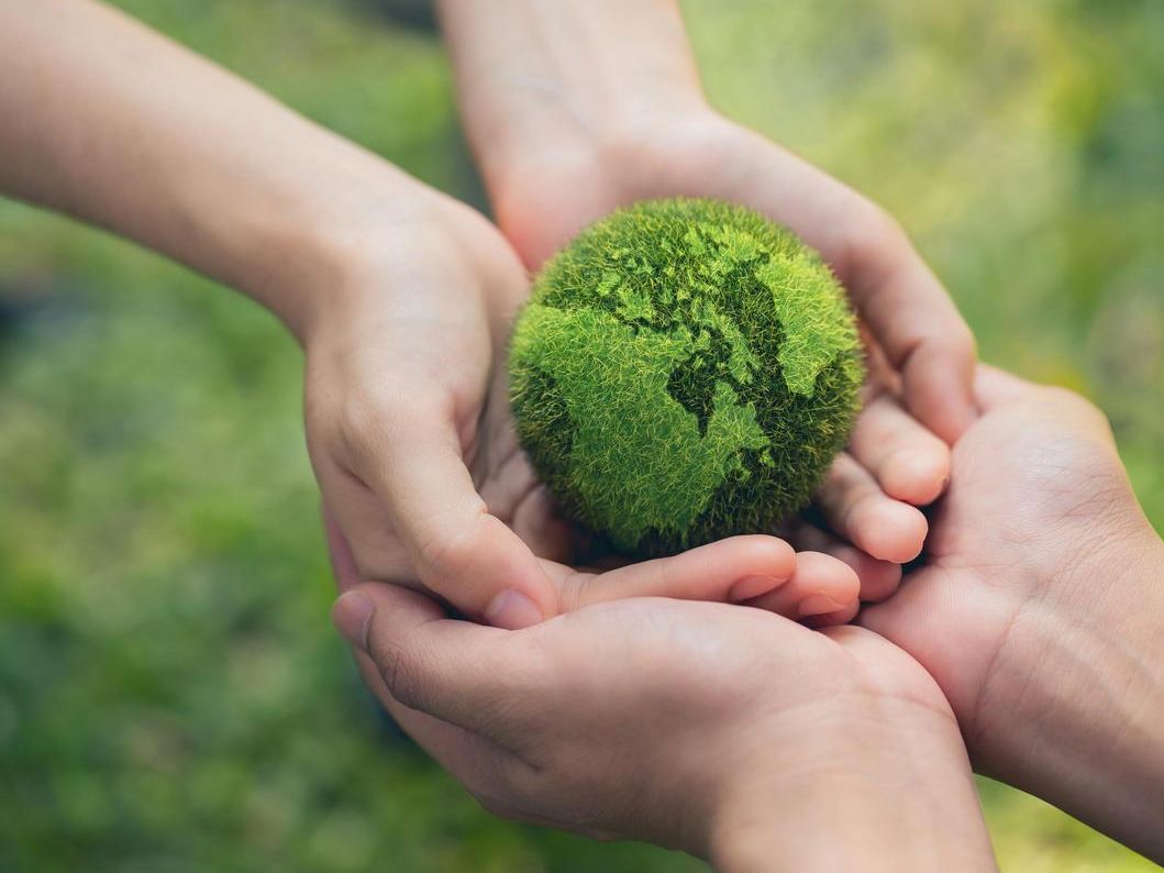 Sustainability - Hands with green globe